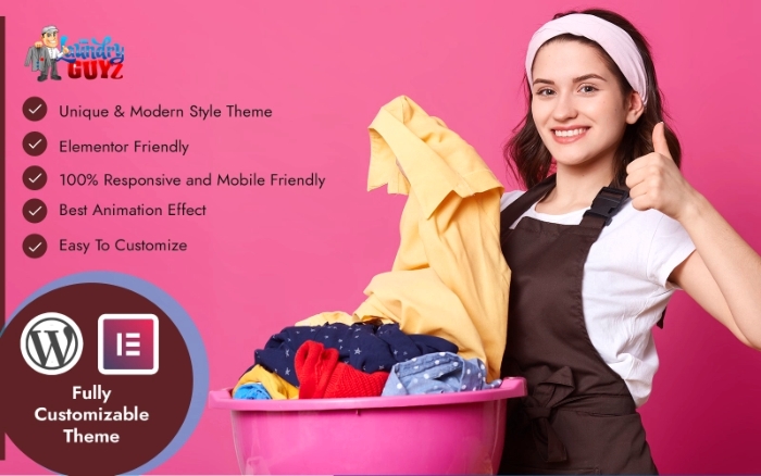 Laundry Guyz Dry Cleaning Services WP Theme 1.0.0