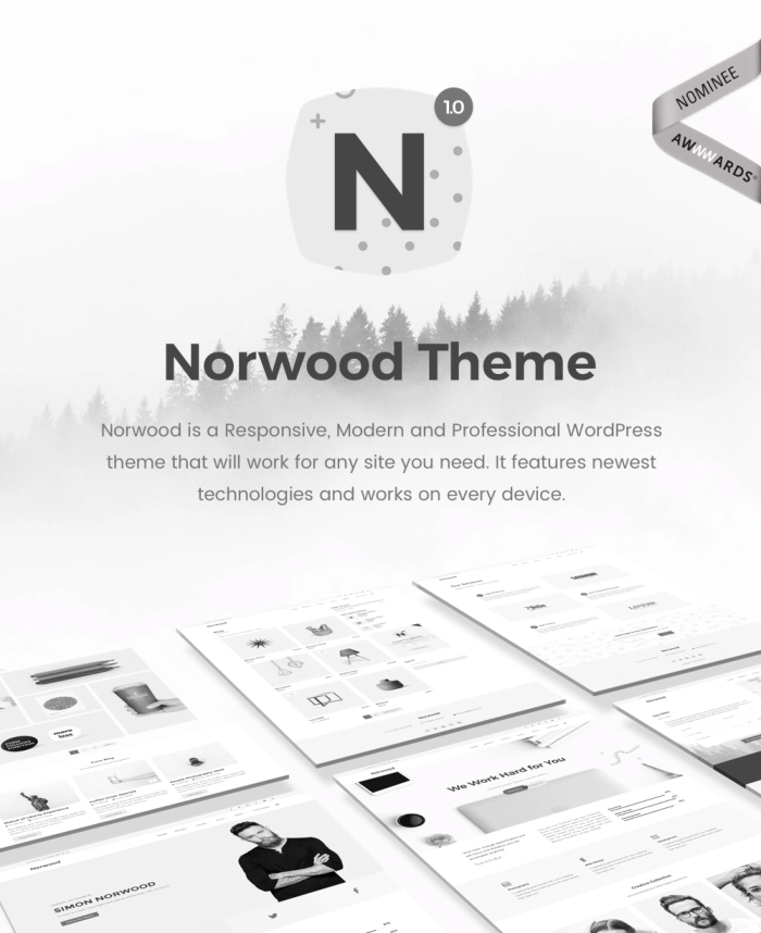 Norwood – Minimalist MultiPurpose Portfolio 1.2.1