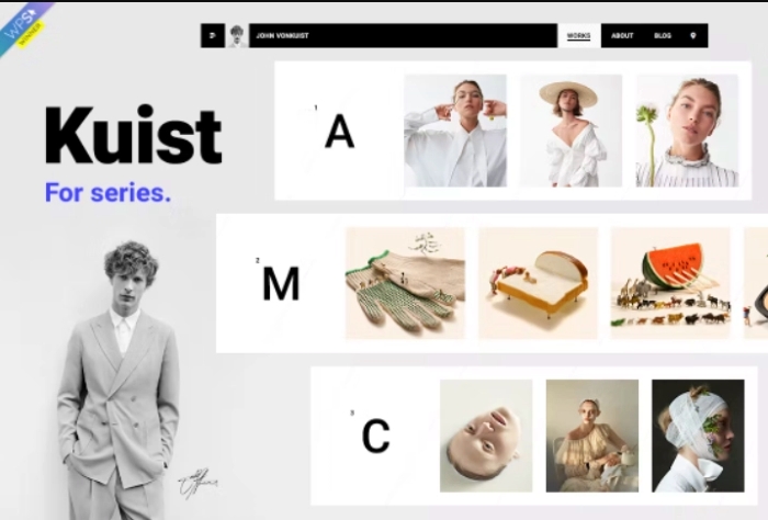 Kuist – Portfolio WordPress Theme for Series 4.0.4