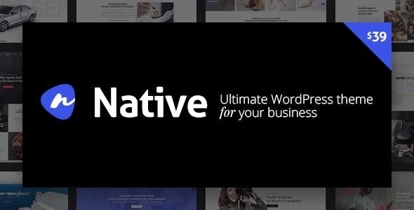 Native – Stylish Multi-Purpose Creative WP Theme 1.6.97