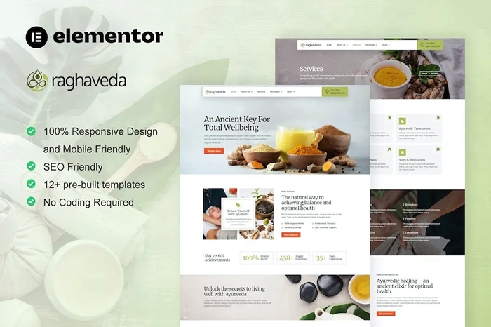 Raghaveda – Ayurveda Treatment & Spa Elementor Template Kit 1.0.0