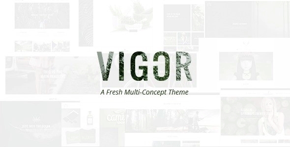 Vigor - Vintage WordPress Theme 3.3