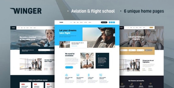 Winger - Aviation & Flight School WP Theme 1.0.8