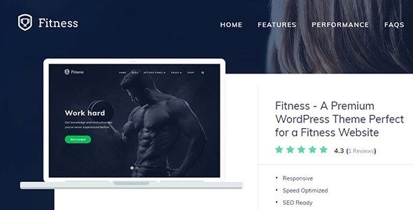 MTS: Fitness β A Premium WordPress Theme Perfect for a Fitness Website 1.0.7