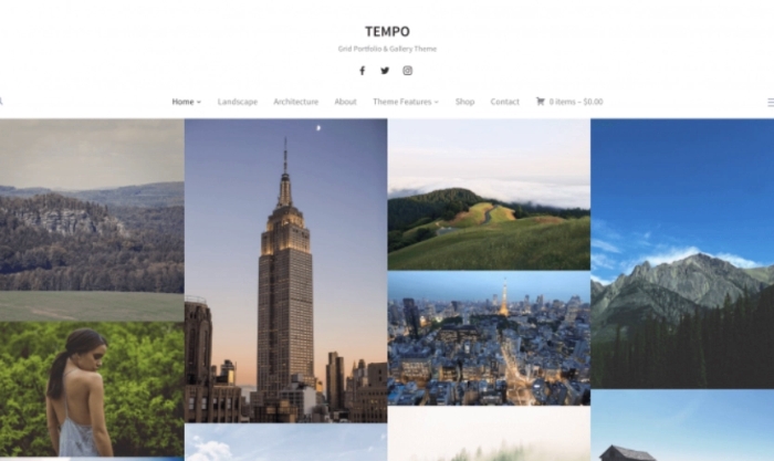 WPZOOM – Tempo 1.0.11