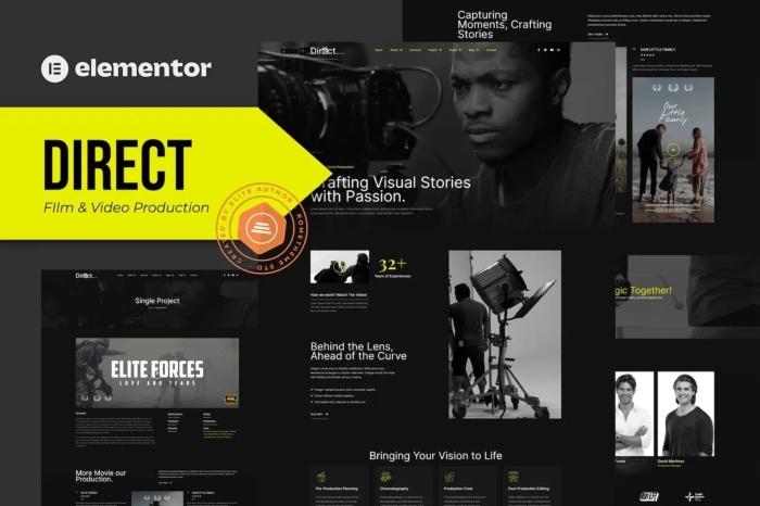 Direct – Film & Video Production Elementor Pro Template Kit 1.0.0