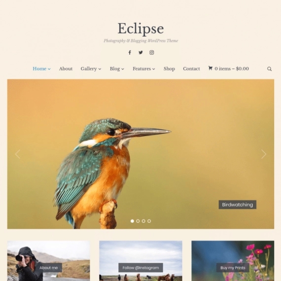 WPZOOM – Eclipse 1.0.10