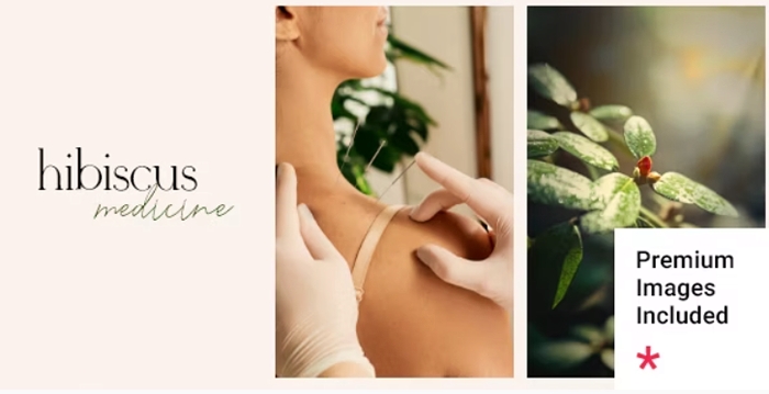 Hibiscus – Alternative Medicine and Organic Shop Theme 1.2