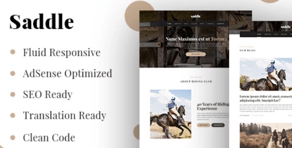 MyThemeShop Saddle WordPress Theme 1.0.10
