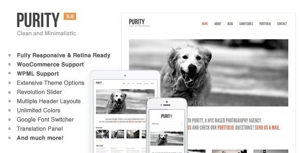 Purity: Responsive Minimal & Bold WP Theme 4.5.1