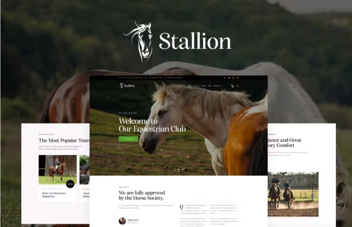Stallion WP Theme 1.0