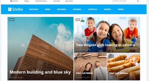Theme Junkie – SiteBox 1.3.0