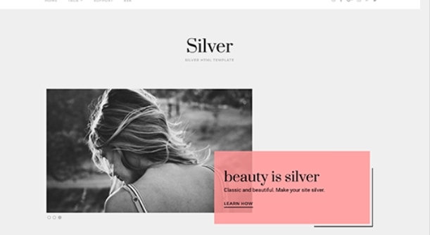 Theme Junkie – Silver 1.0.2