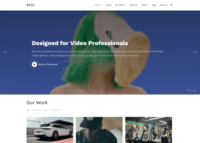 Reel – WPZoom WordPress Theme 3.0.6