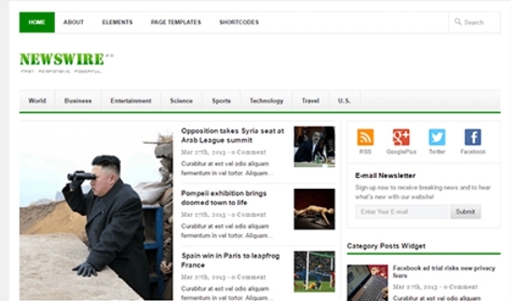 Theme Junkie – Newswire 2.1.1