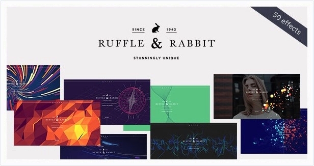 Rabbit – Exclusive Coming Soon WP Theme 6.0.1