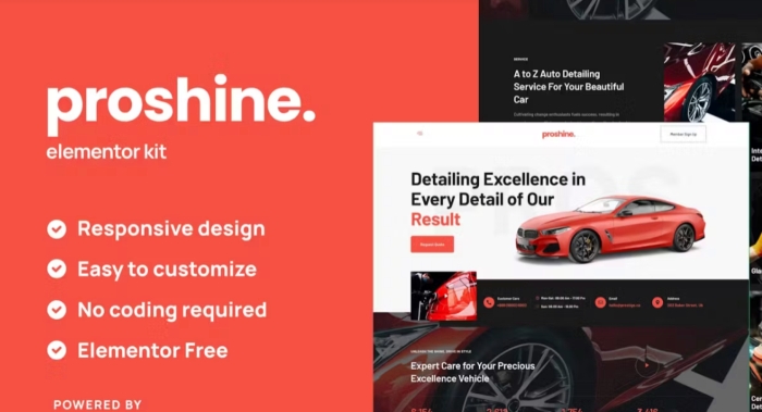 Proshine - Car Detailing & Auto Service Elementor Template Kit 1.0.0
