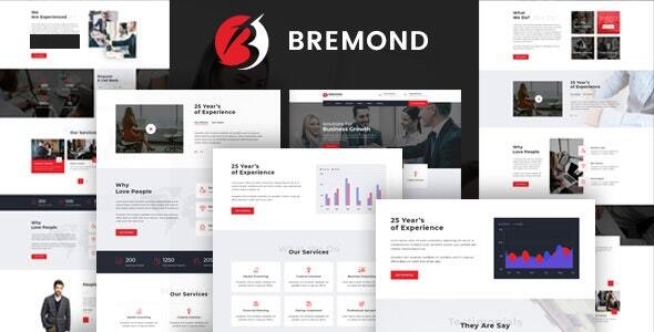 Bremond – Multipurpose Business Consulting WordPress Theme 1.0.0